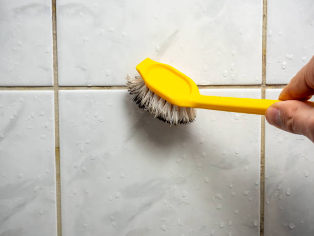 Best Mold Testing and Inspection Services in East Syracuse, NY