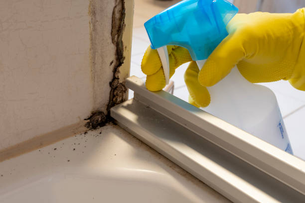 Best Mold Remediation for Specific Building Types in East Syracuse, NY