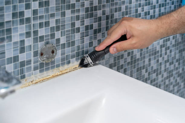 Best Basement Mold Remediation in East Syracuse, NY