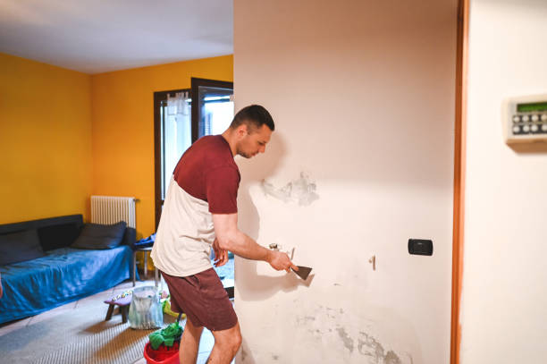 Best Insurance-Related Mold Remediation in East Syracuse, NY